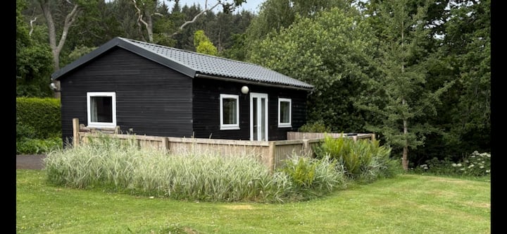 Periton Park Court: Willow Lodge (Swimming Pool) - Minehead