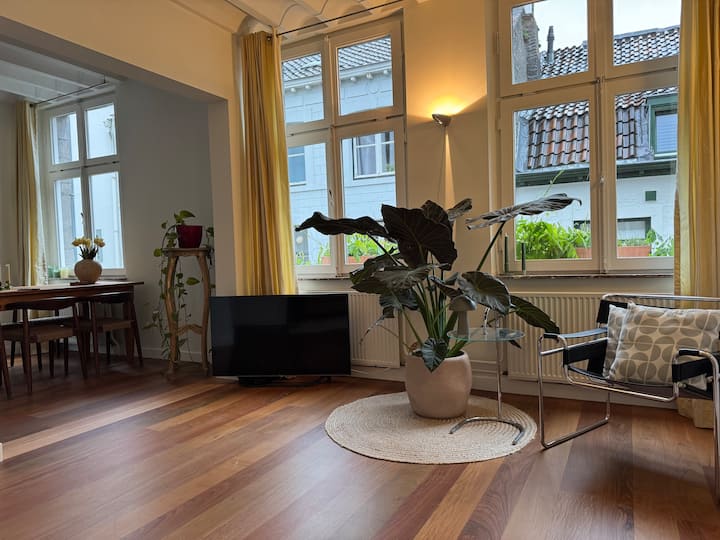 Historical House In The Heart Of Maastricht - Maastricht