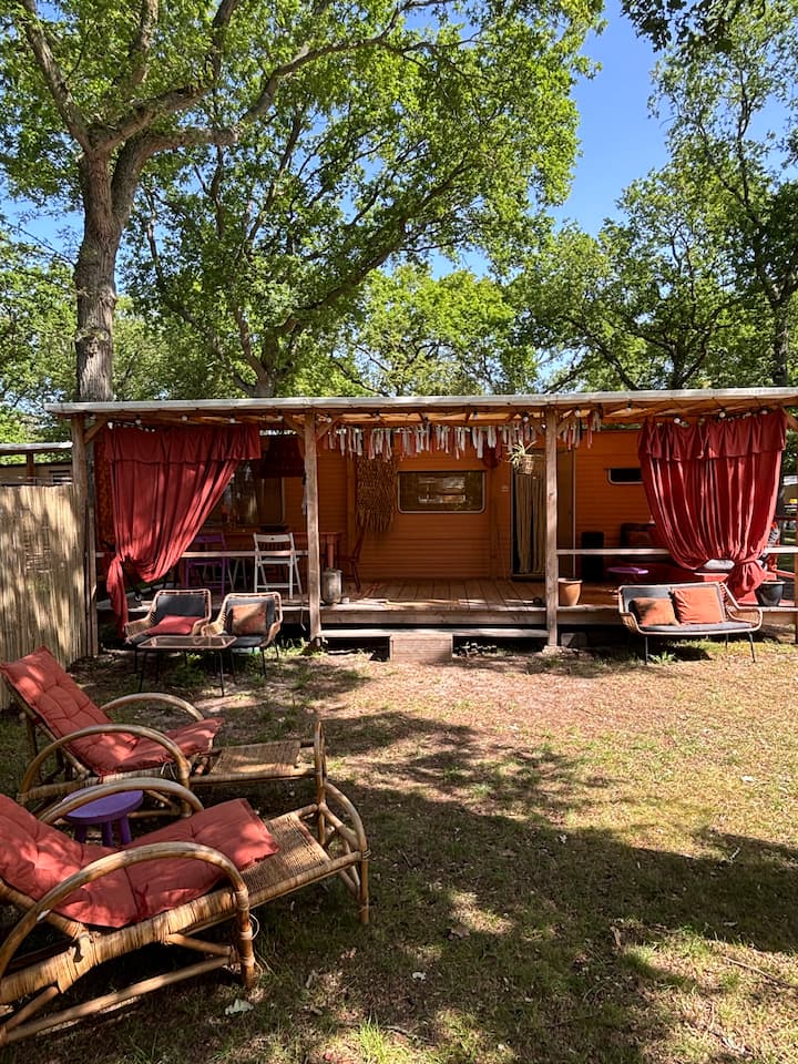 Boho Caravan Camping Bakkum Near Castricum Beach - Heemskerk