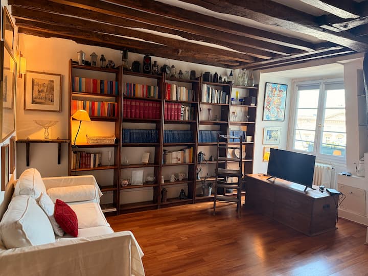 Luminous Flat In The Heart Of The Vi - Paris