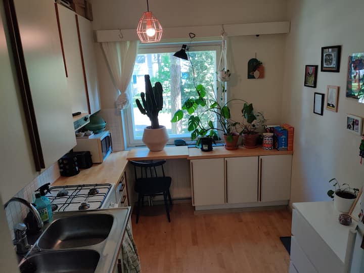 Cozy & Spacious Helsinki Apartment - Helsinque