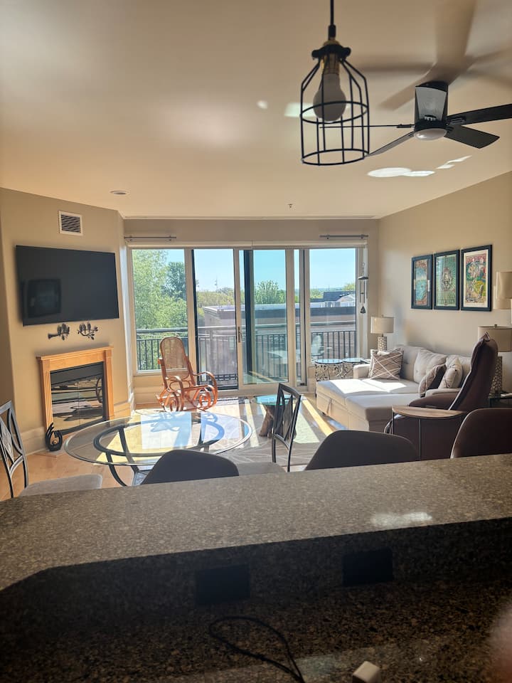 Modern Downtown Apartment. - Traverse City, MI