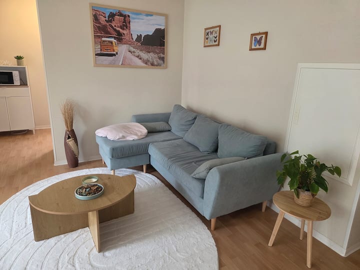 Chambre D'hôte à Lingolsheim. - Strasburgo