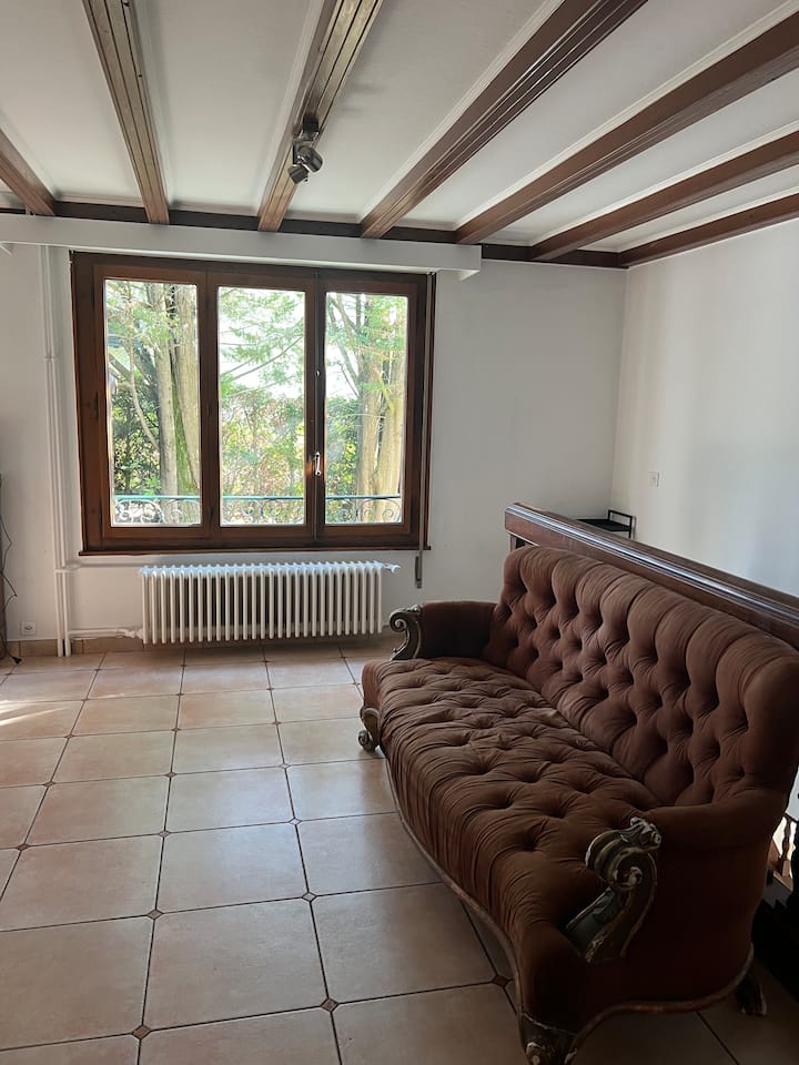 6 Rooms In 1850 Old Farm With Garden And Lake View - Douvaine