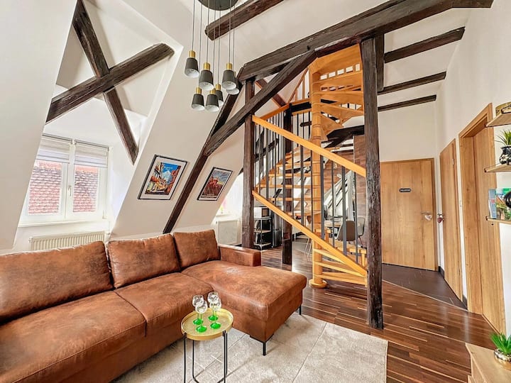 Loft Bariga - Kintzheim
