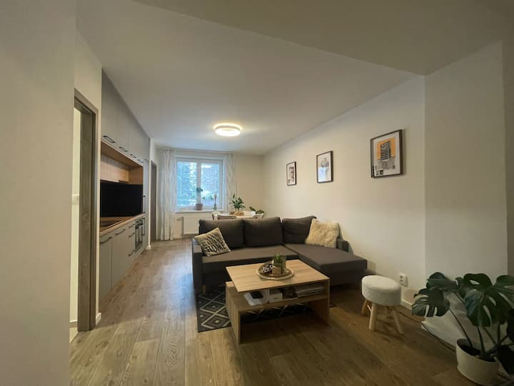 Modern Flat In A City. - Humenné
