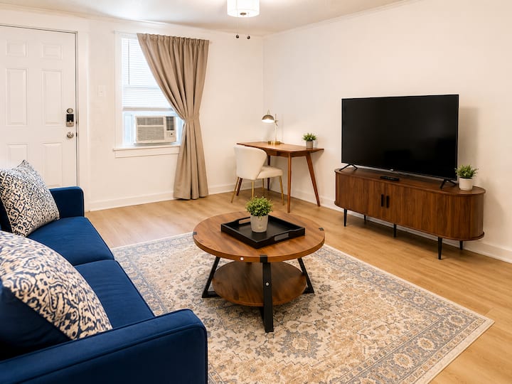 Central One Bedroom With All Amenities - Dallas, TX