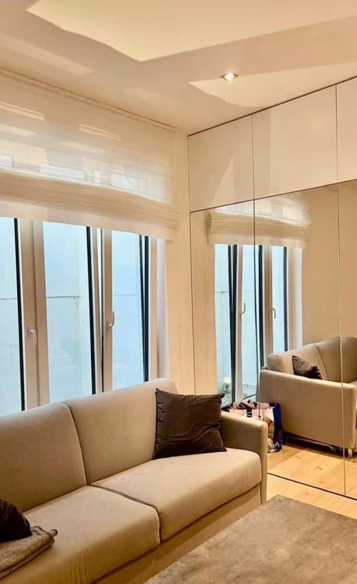 Wohnung Menterschwaige (Harlaching) - 慕尼黑