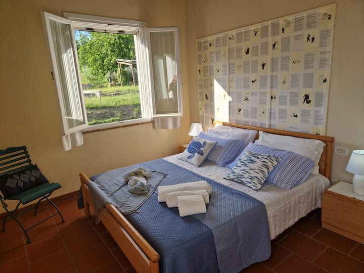 Piccolo Paradiso - Mare - Cecina