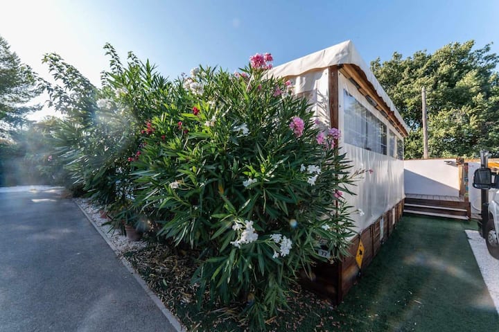 Mobilhome 4p - Piscine - Hyères - Almanarre - Hyères