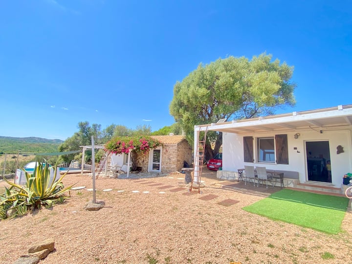 Casa Noah: Traumhaftes Ferienhaus Mit Gästehaus - Sardegna