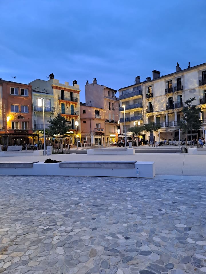 T2 Avec Terrasse - Cerbère