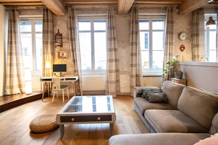 Le Grand Colomès - Grand Appartement De Charme - Lyon