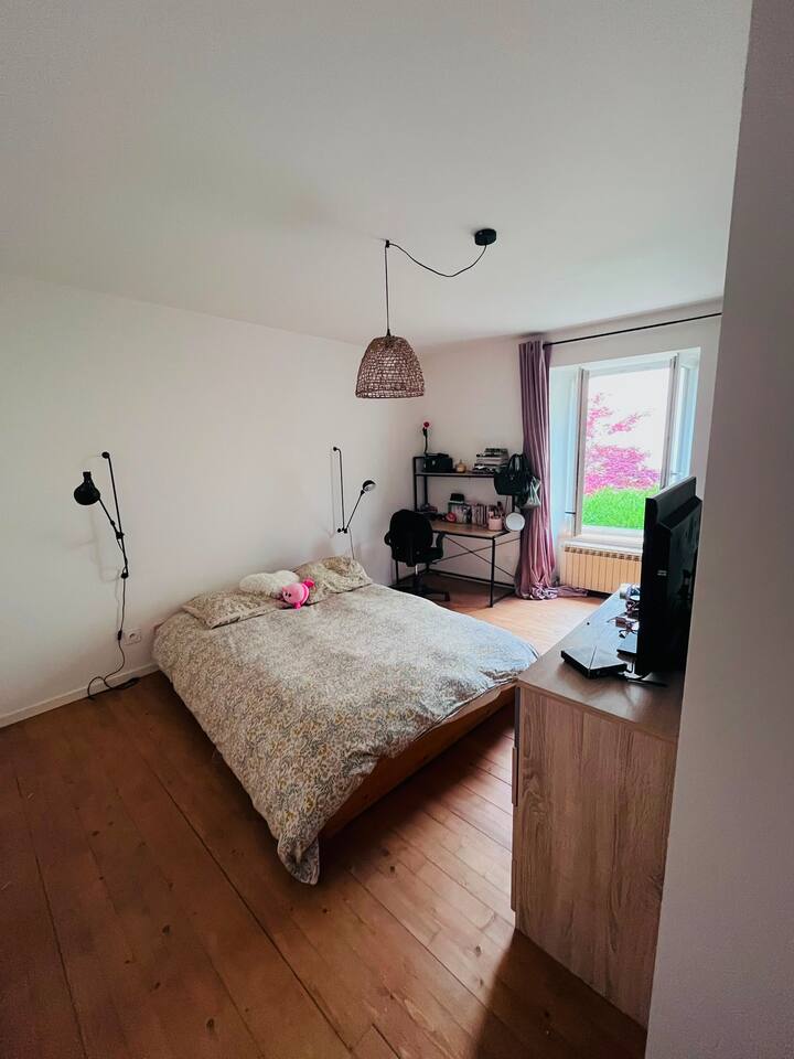 Habitación 1
