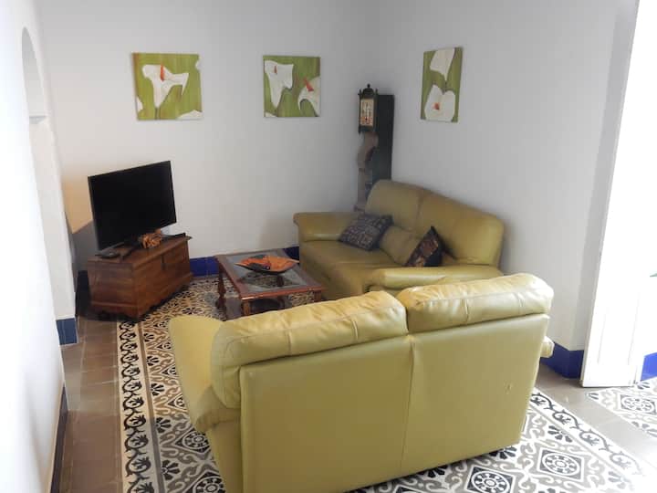 Amplia Casa Con Encanto Andaluz En Casco Histórico - Benalup-Casas Viejas