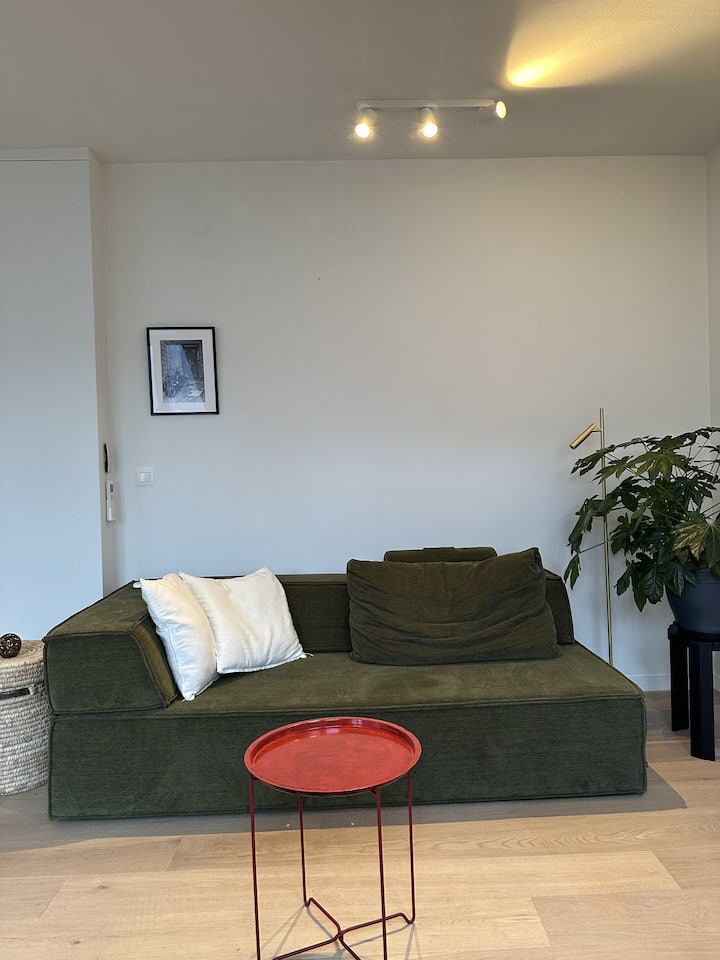 Design Appartement Met Historisch Uitzicht - Gand