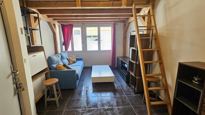Studio Bis Avec Mezzanine - Annecy (5 Min Gare) - Annecy