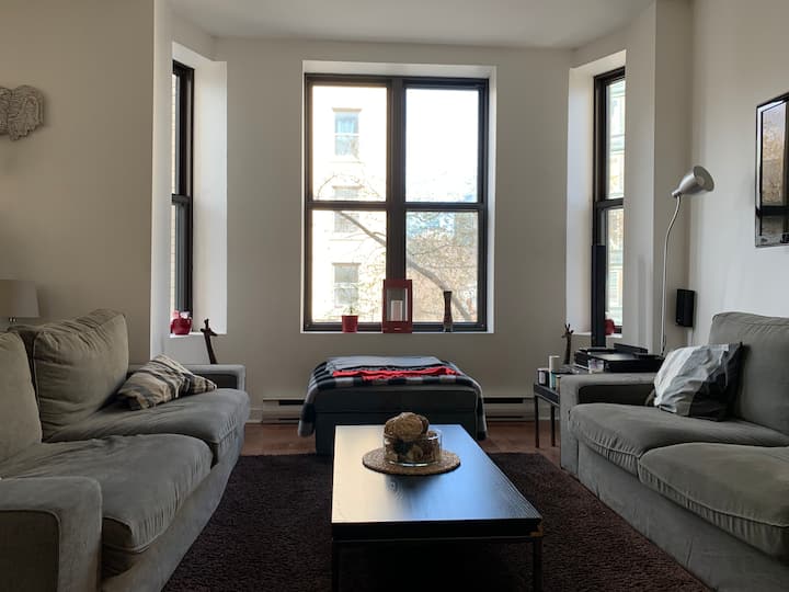 Spacious Downtown Montreal Apartment - Montreal