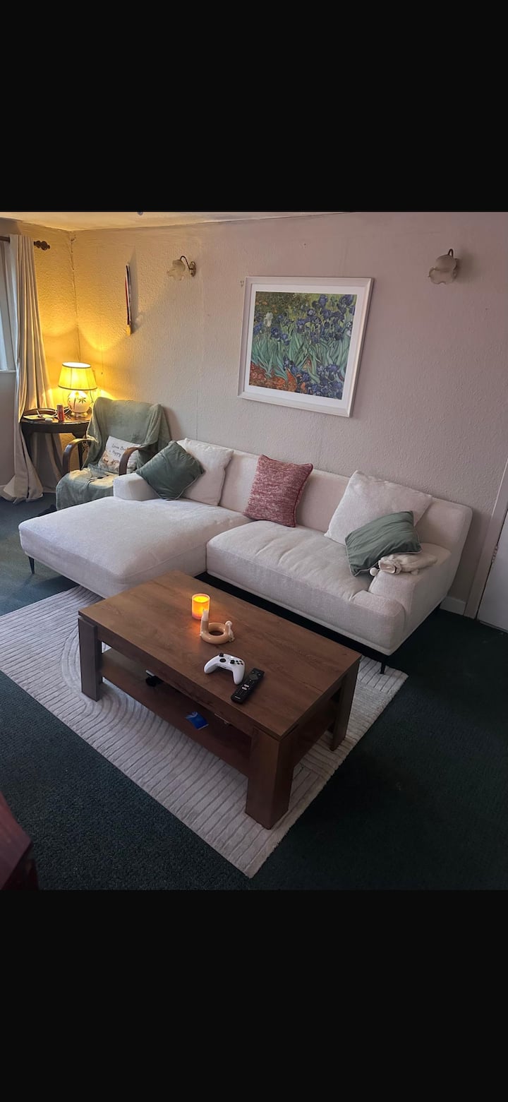 Cosy Cottage On The Banks Of The River Lee - Cork