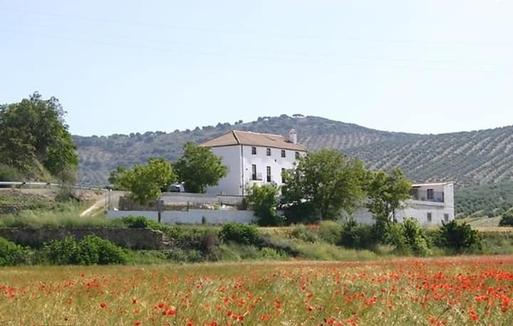 Stunning Home In Alcala La Real - Alcalá la Real