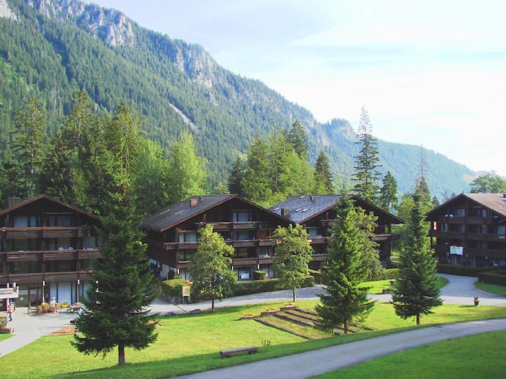 Cozy Alpine Studio In Wiriehorn With Parking - Frutigen
