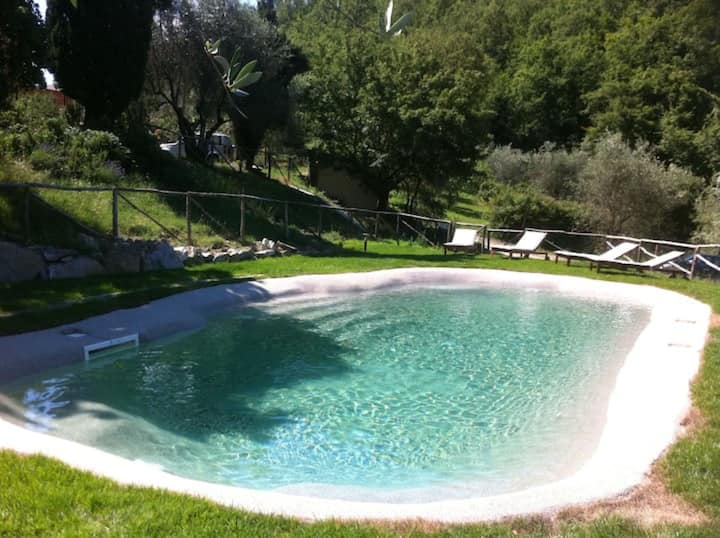 Podere Le Pialle - Uliveto Room - Pontassieve