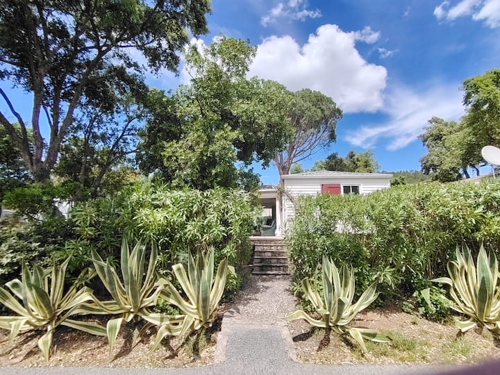 Bungalow, Fréjus
4 Voyageurs, 3 Lits - Fréjus