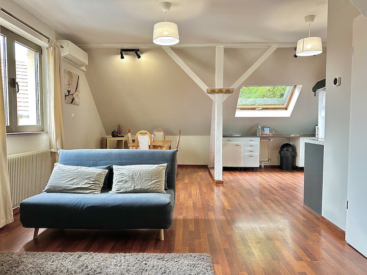 Appartement - Entre Strasbourg & Obernai - Molsheim