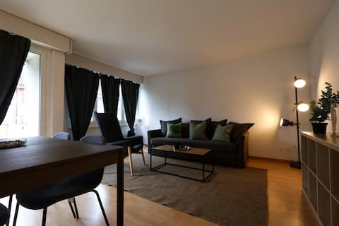 Top performing Airbnb: Cozy 2BR Apartment with Easy Access to Bern in Mattenhof