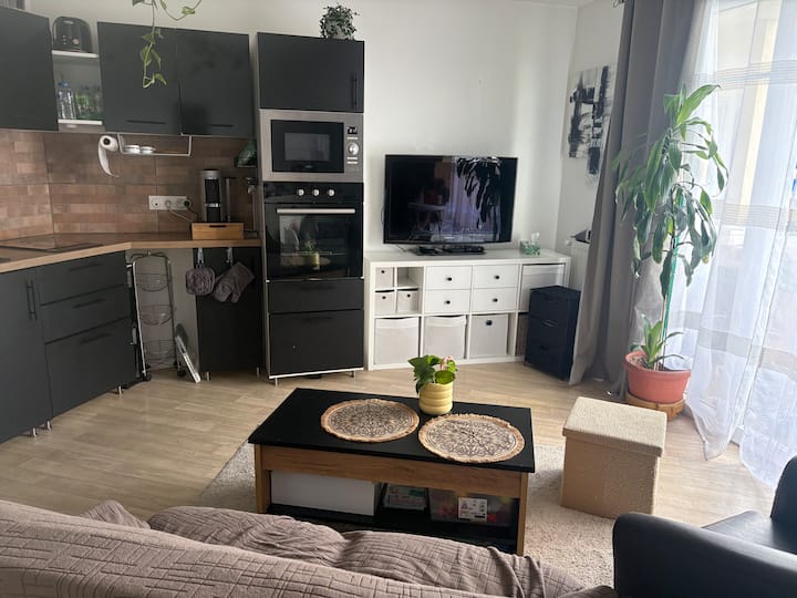 Appartement F2 Cosy Proche Paris - Cdg - Le Blanc-Mesnil