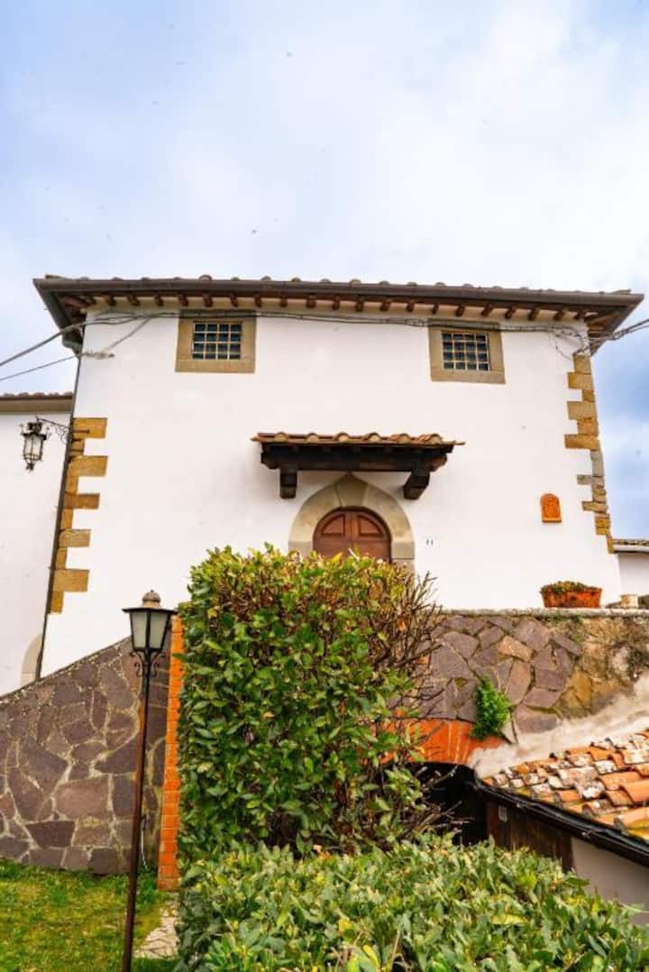 Villa Il Leccio Vinci - Vinci