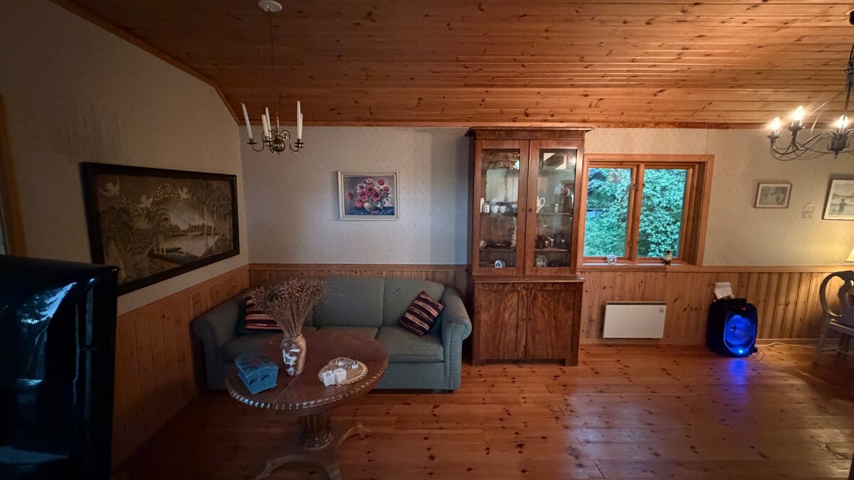 4 homes, 3 boats, sound, light, tent, dock, swimming, BBQ