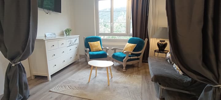 Un Magnifique T2 Lumineux, Spacieux, 4 Couchages - Arles-sur-Tech