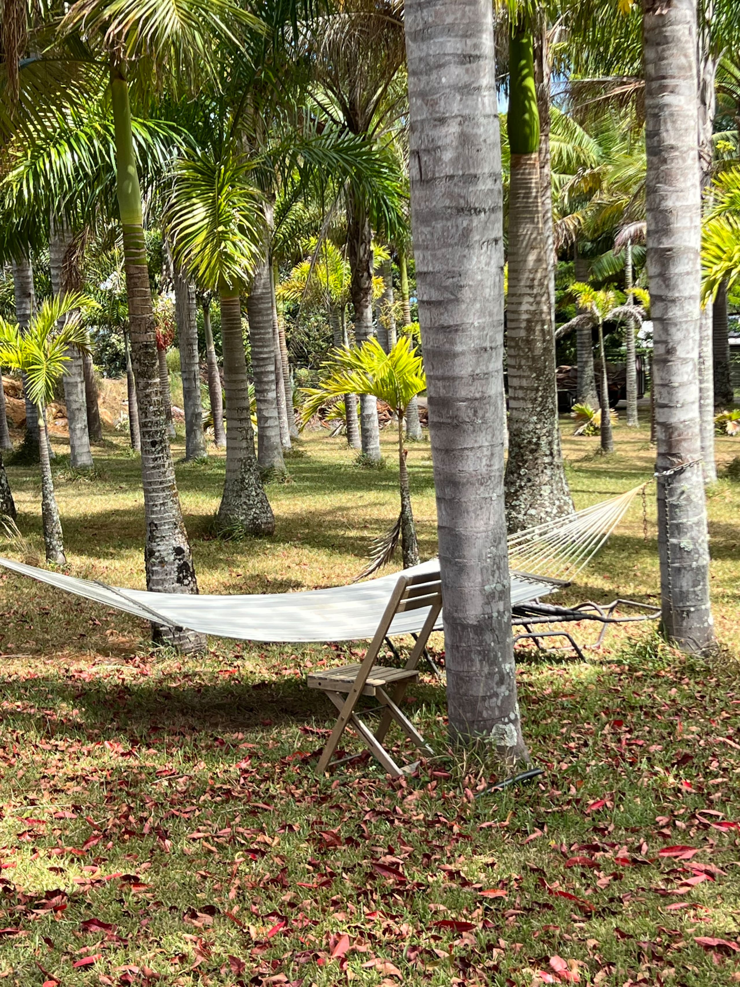 Guesthouse in Maui County · ★4.79 · 1 bedroom · 2 beds · 1 bath - Image 15