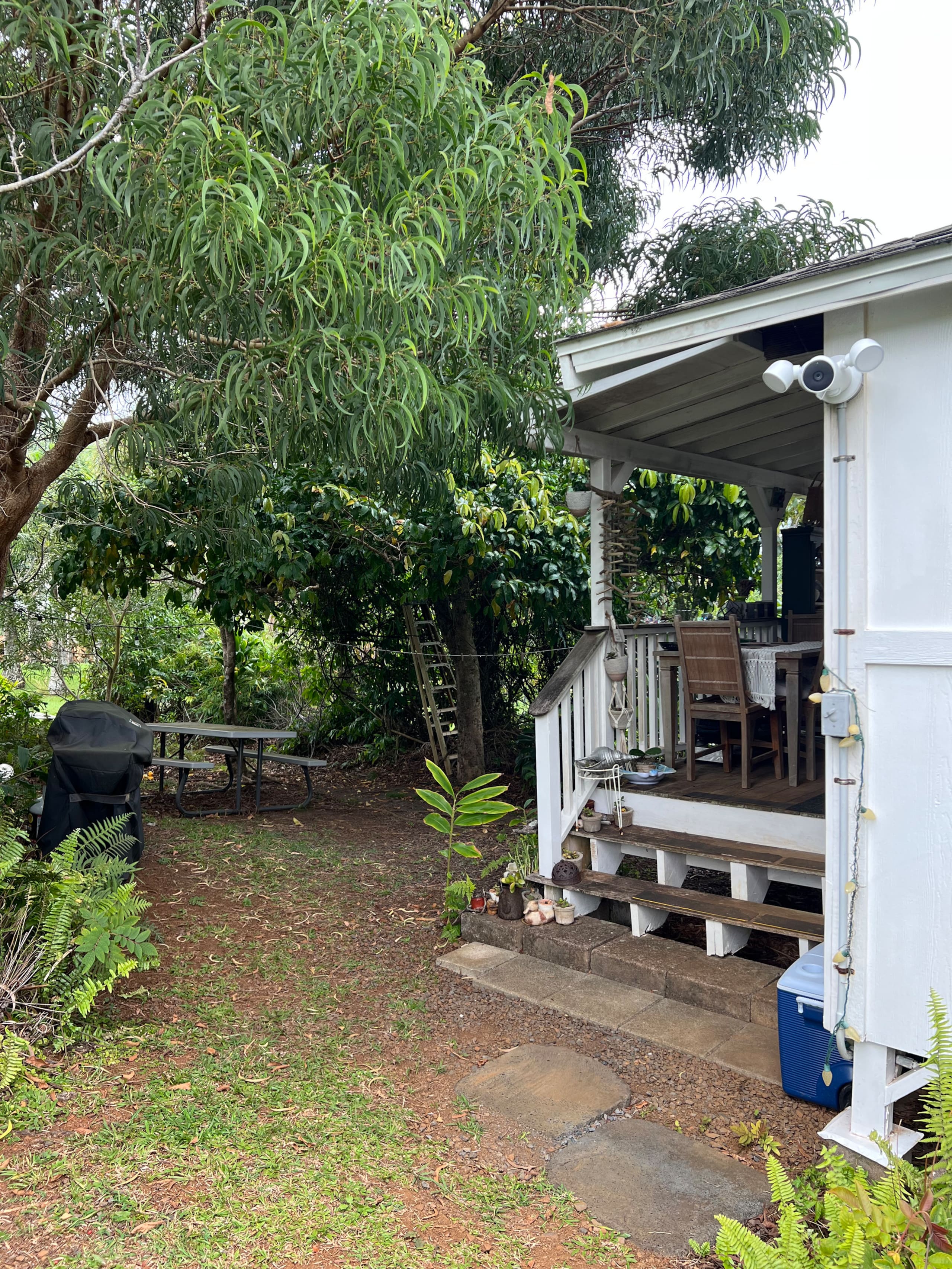 Guesthouse in Maui County · ★4.79 · 1 bedroom · 2 beds · 1 bath - Image 9