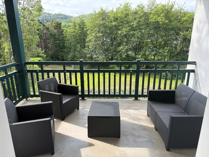 Appartement Hasparren - Hasparren