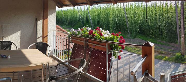 Schöne Fw In Der Hopfenregion Tettnang Am Bodensee - Tettnang