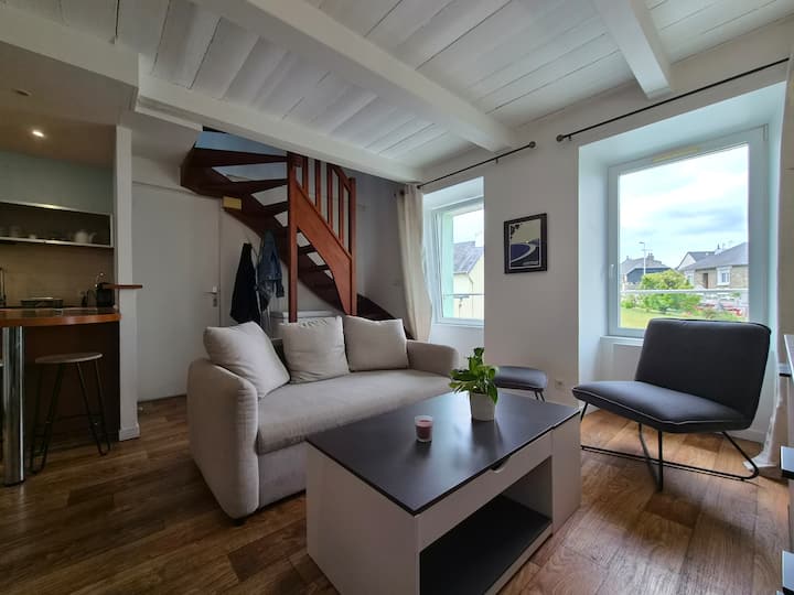 Appartement Duplex De Charme à 800 M De La Mer - Donville-les-Bains