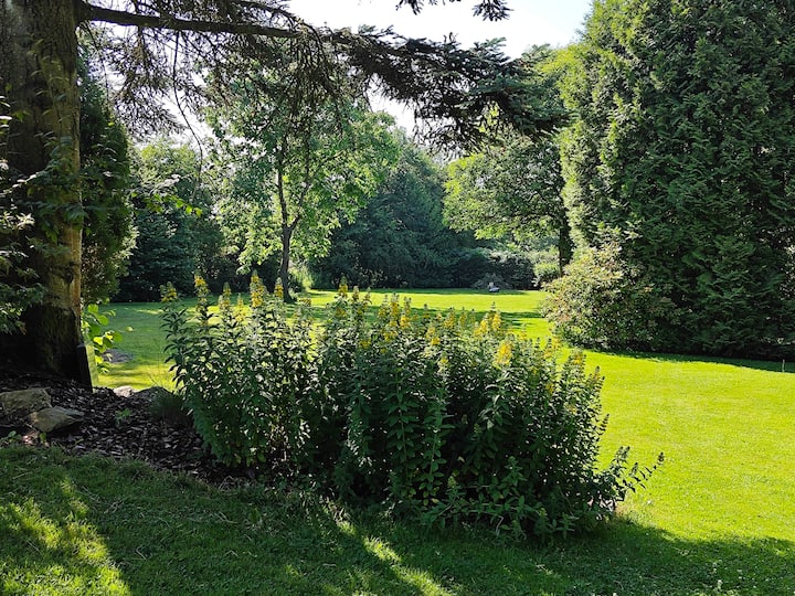 Büchelblick Camping - Monschau