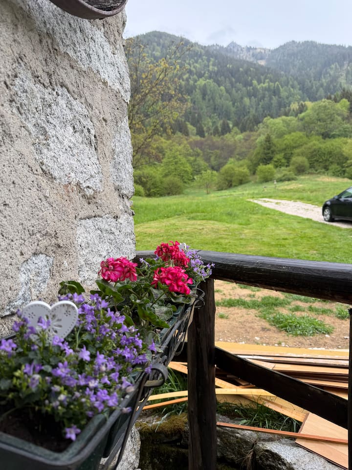 Rifugio Tra I Boschi Maso Tre Fontane - Lagorai