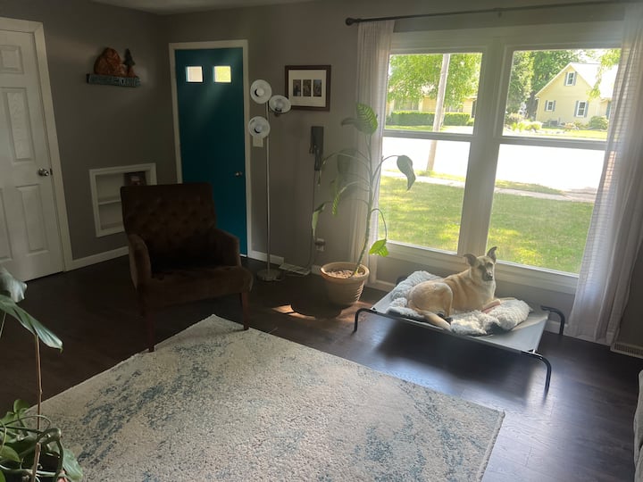 Pet Friendly Home For Eaa - Oshkosh, WI