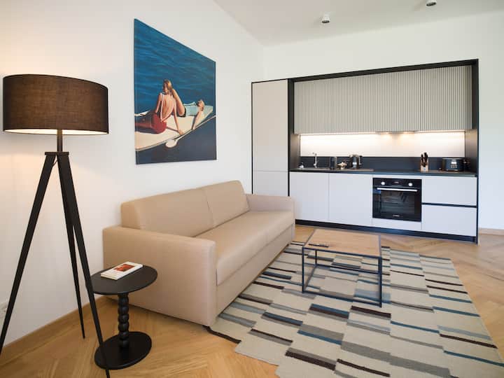 Suite With Air Conditioning • Near Baden-baden - Sasbach