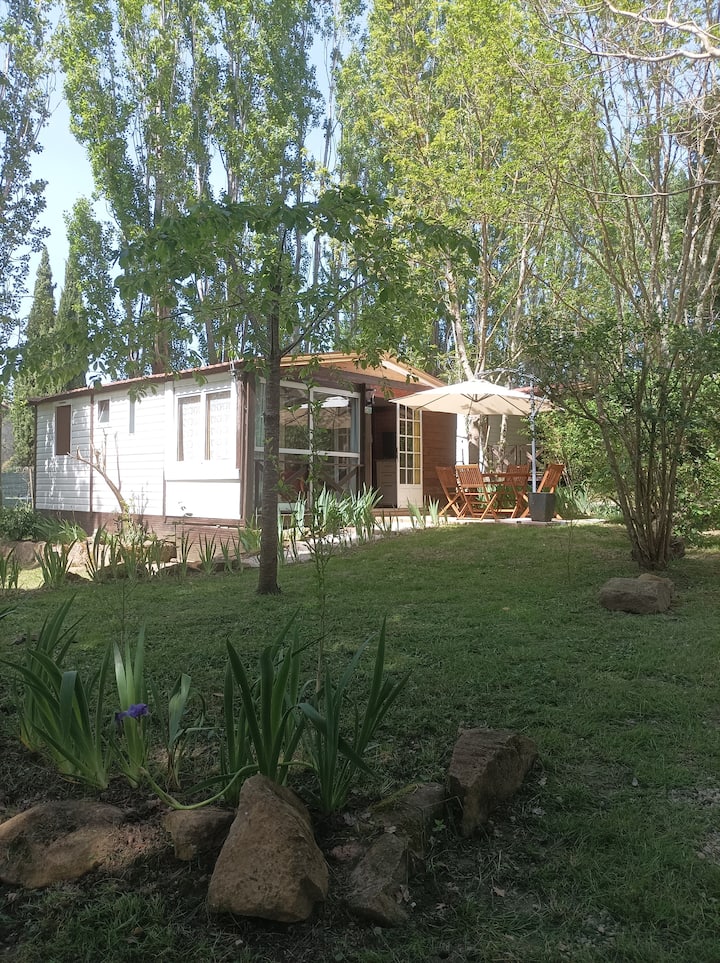 Chalet Dans Camping 3* - Montbel