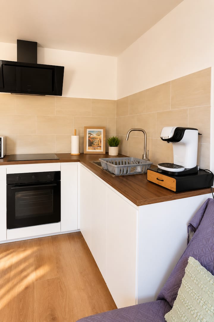 ÉVasion à Céret, Appartement Avec Jardin Privé - Céret