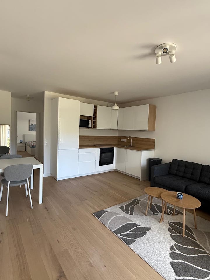 Brand New Peacefull Apartment In The Center - Ferney-Voltaire