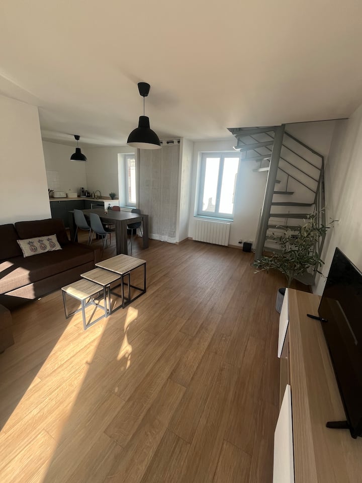 Duplex De Charme à Deux Pas De La Loire - Gien