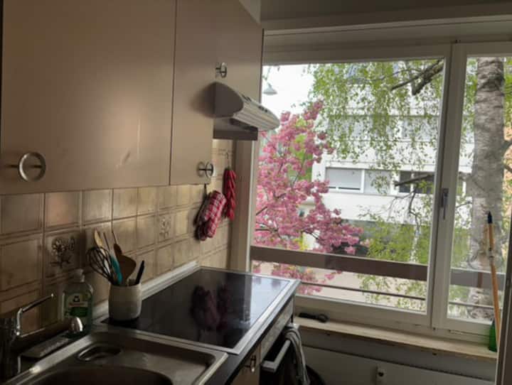 Spacious Family Apartment In Basel - Basel
