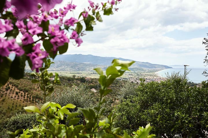 Tenuta La Selva Casa Pendio Cilento - Acciaroli