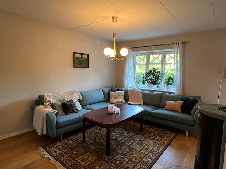 Charmigt Hus I Sjöbo - Sjöbo
