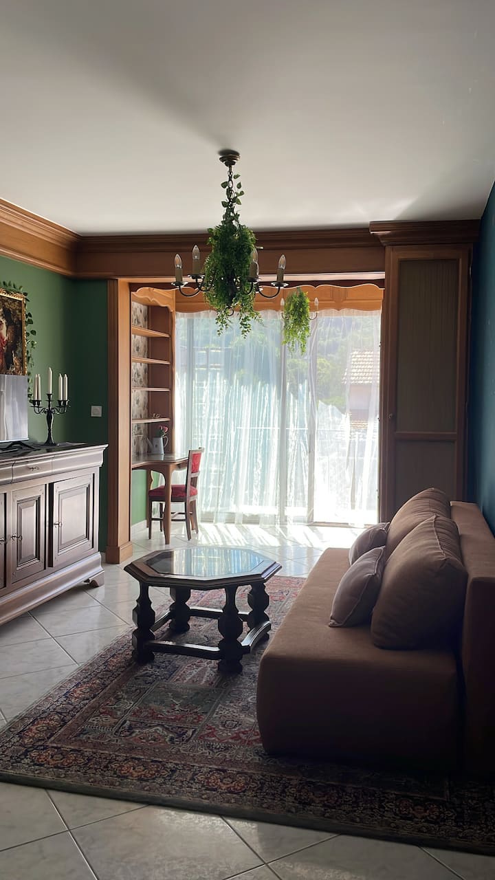 «&nbsp;Folklore&nbsp;» Appartement Proche Montagnes - Vic-sur-Cère